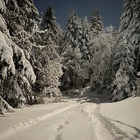 Mountain Cottage Lubomierz Lubomierz  Zewnętrze zdjęcie