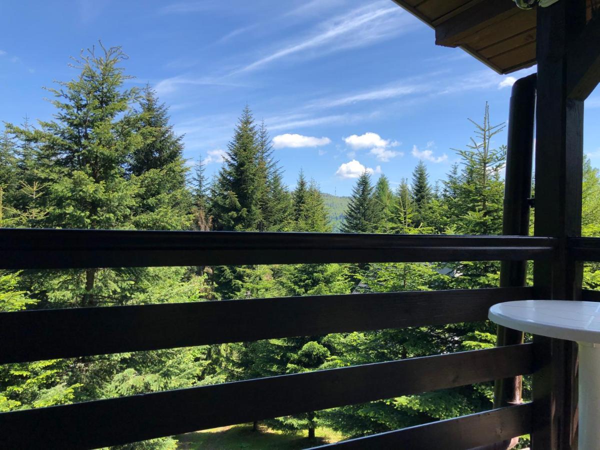 Chalet Mountain Lubomierz