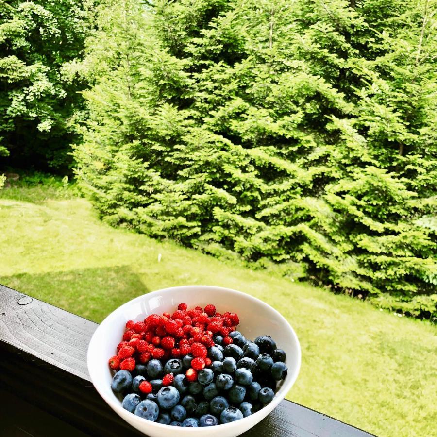 Chalet Mountain Lubomierz