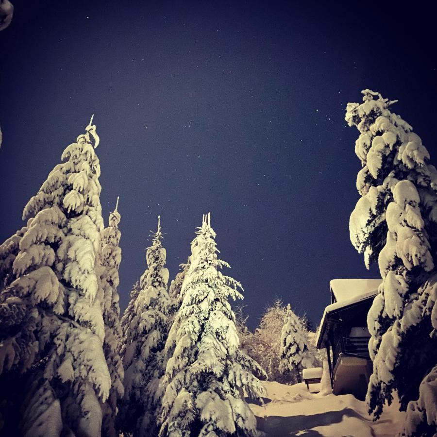 Mountain Chalet Lubomierz (Lesser Poland)
