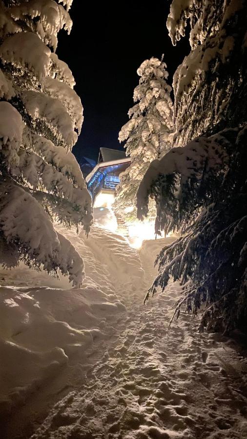 Mountain Lubomierz Chalet