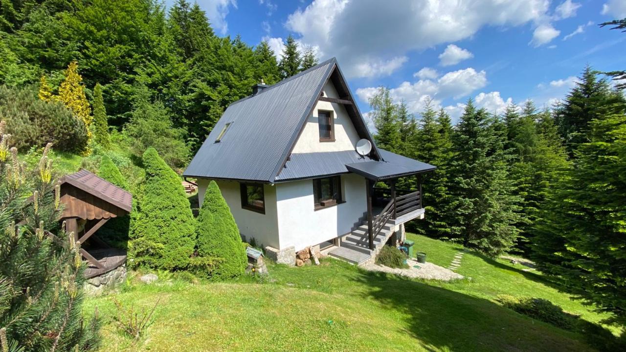 Mountain Lubomierz Chalet