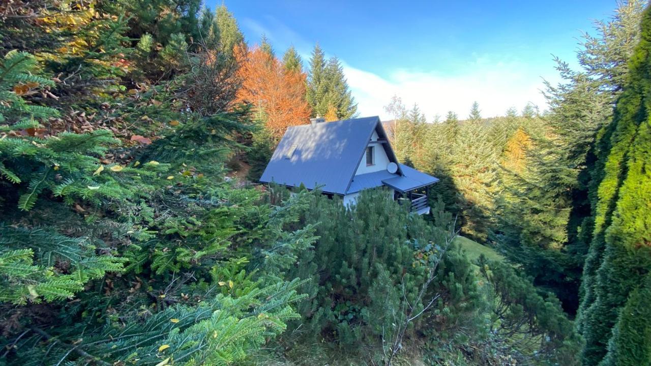 Mountain Chalet Lubomierz (Lesser Poland)